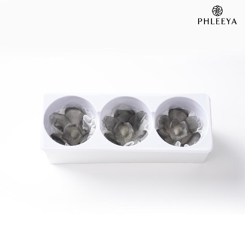 Lan hồ điệp vĩnh cửu DIY hoa trang trí cưới decor cao cấp (HK-6)