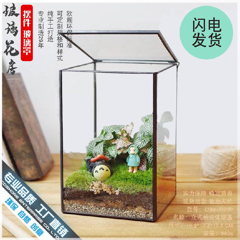 DG-7 Hộp kính hình lập phục vụ cây thực vật tảo, cảnh quan nhỏ không định hình