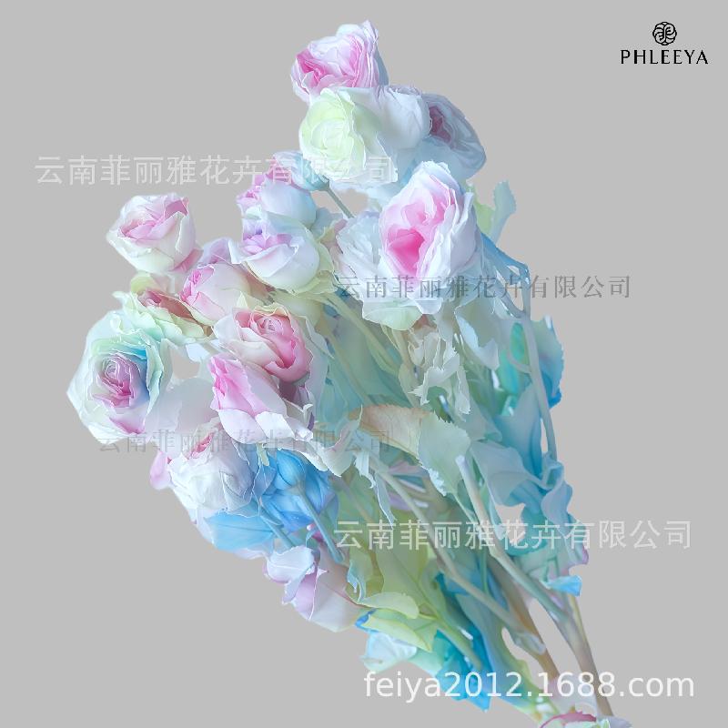 Hoa hồng chùm vĩnh cửu DIY hoa khô làm bó hoa cao cấp (HK-9)