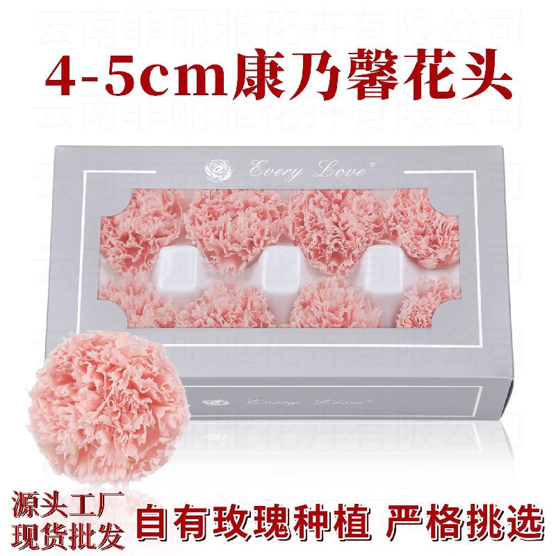 Hoa cẩm chướng vĩnh cửu 8 bông DIY quà Ngày của Mẹ (HK-30)