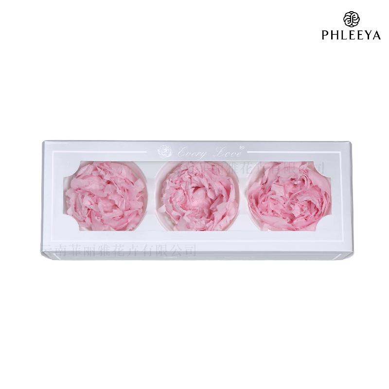 Hoa mẫu đơn vĩnh cửu 7–8cm 3 bông hạng A DIY hoa trang trí (HK-24)