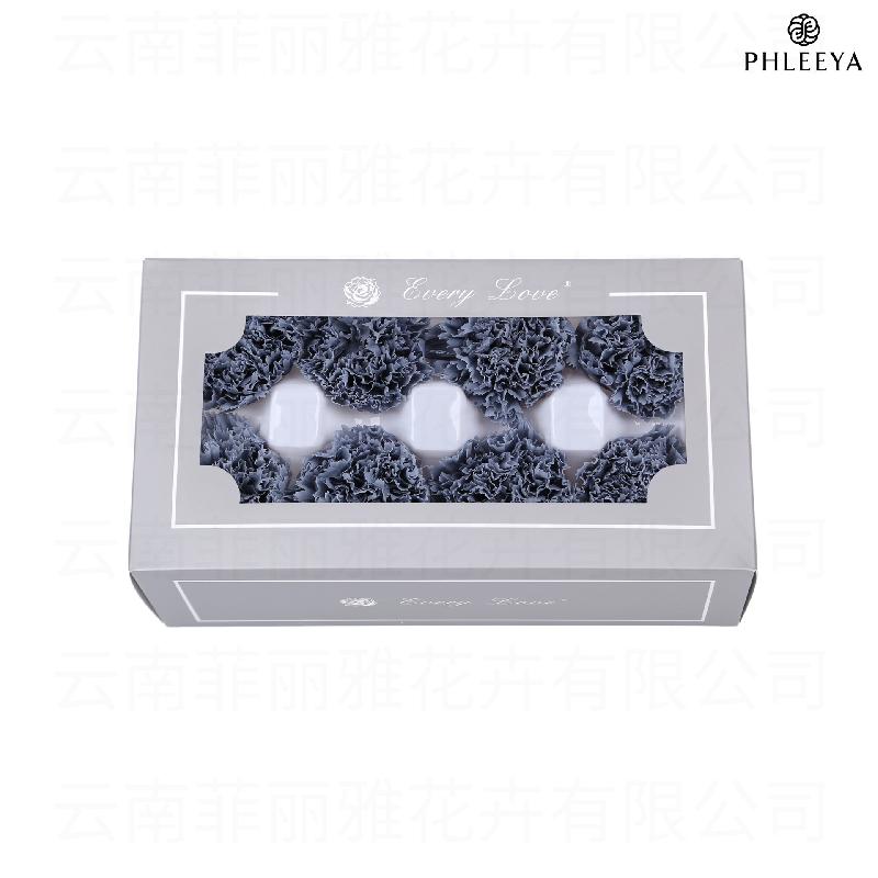 Hoa cẩm chướng vĩnh cửu 8 bông DIY quà Ngày của Mẹ (HK-30)