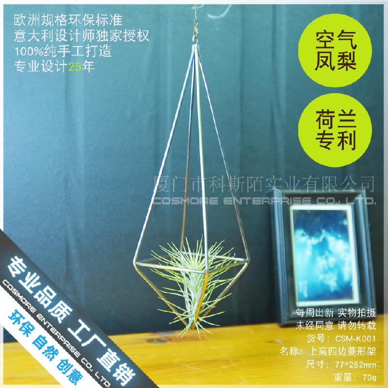 Nhà kính hình thoi, chậu cây không khí (DG-173)