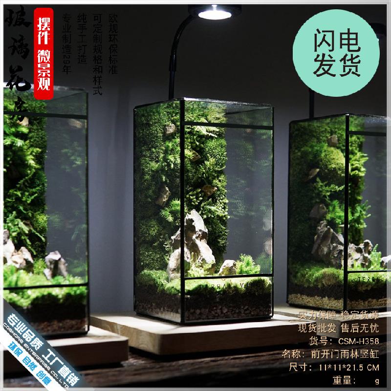 几何玻璃花房小型客厅生态桌面造景缸迷你雨林盒苔藓微景观水草缸