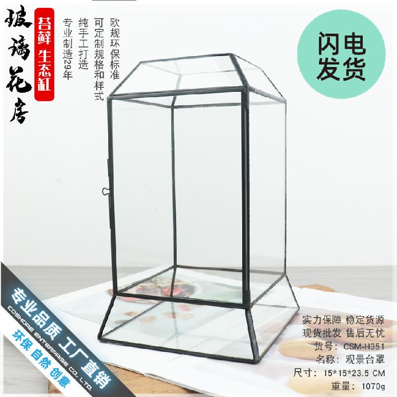 Bình sinh thái rêu cảnh DIY, bể rừng mini (DG-75)