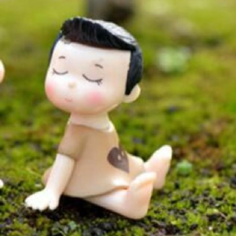 Tiểu cảnh cặp đôi nơ bướm trang trí chậu cây sáng tạo (ZC-928)