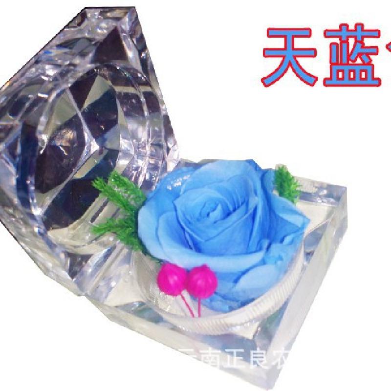 Hộp mica hoa hồng vĩnh cửu đựng nhẫn dây chuyền quà Valentine cao cấp (HK-144)