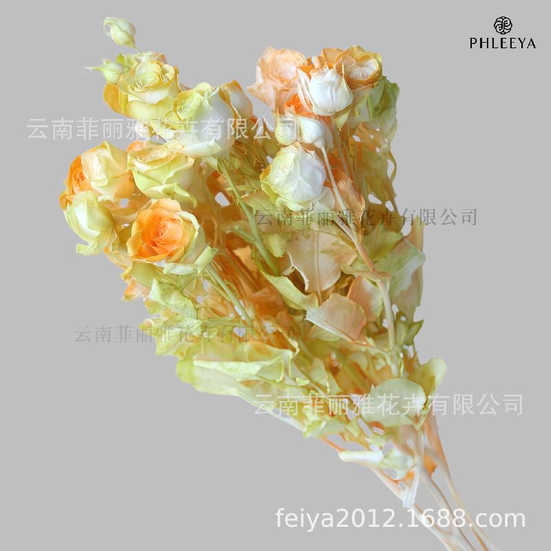 Hoa hồng chùm vĩnh cửu DIY hoa khô làm bó hoa cao cấp (HK-9)
