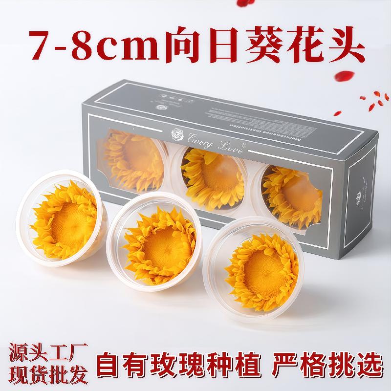 Hoa hướng dương vĩnh cửu 7–8cm 3 bông DIY hoa khô quà tặng (HK-20)