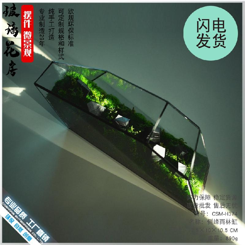 苔藓微景观玻璃花房器皿生态雨林缸造景流水植物墙花盆器鱼玻璃罩