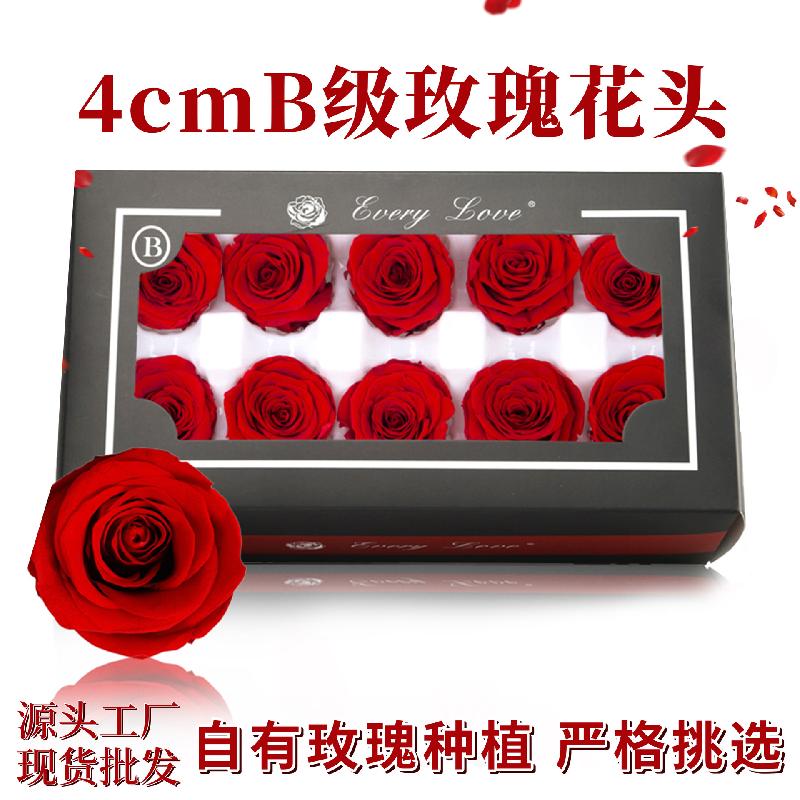 Hoa hồng vĩnh cửu 4cm hạng B 10 bông DIY hoa khô cao cấp (HK-8)