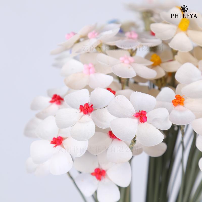 Hoa violet khô DIY hoa trang trí nhà cửa hoa giả (HK-27)