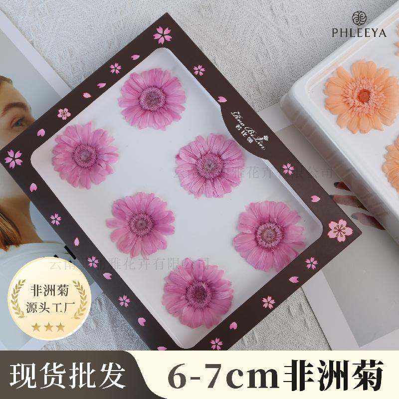 Hoa hồng vĩnh cửu phối đồng tiền DIY bó hoa quà tặng cao cấp (HK-13)