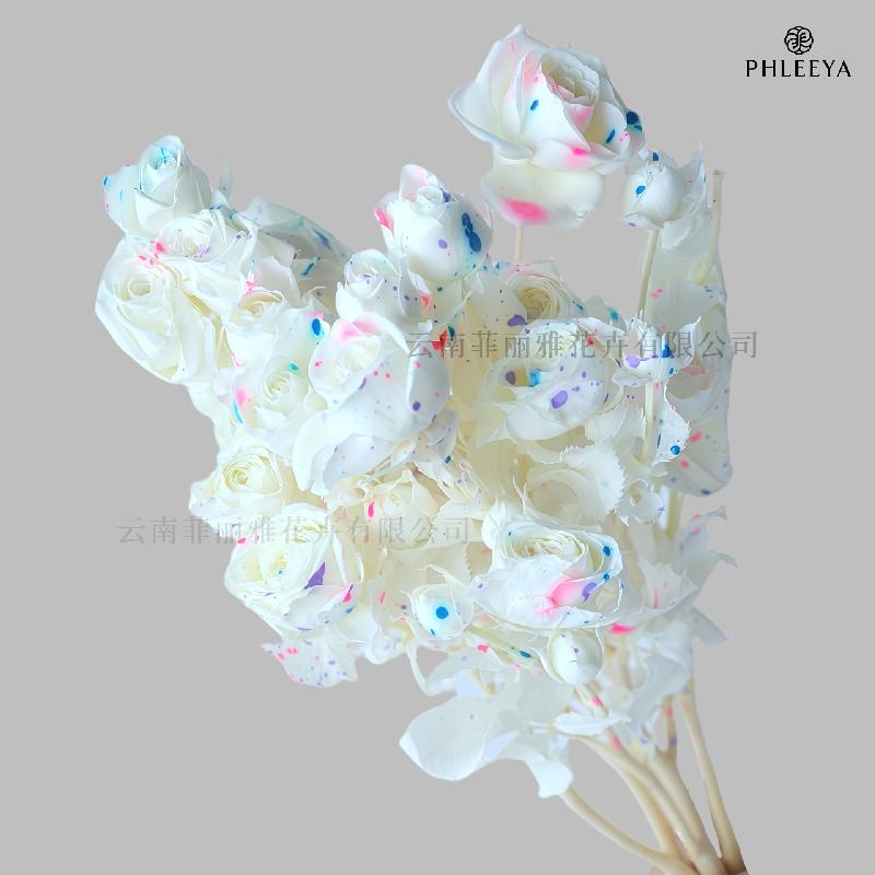 Hoa hồng chùm vĩnh cửu DIY hoa khô làm bó hoa cao cấp (HK-9)