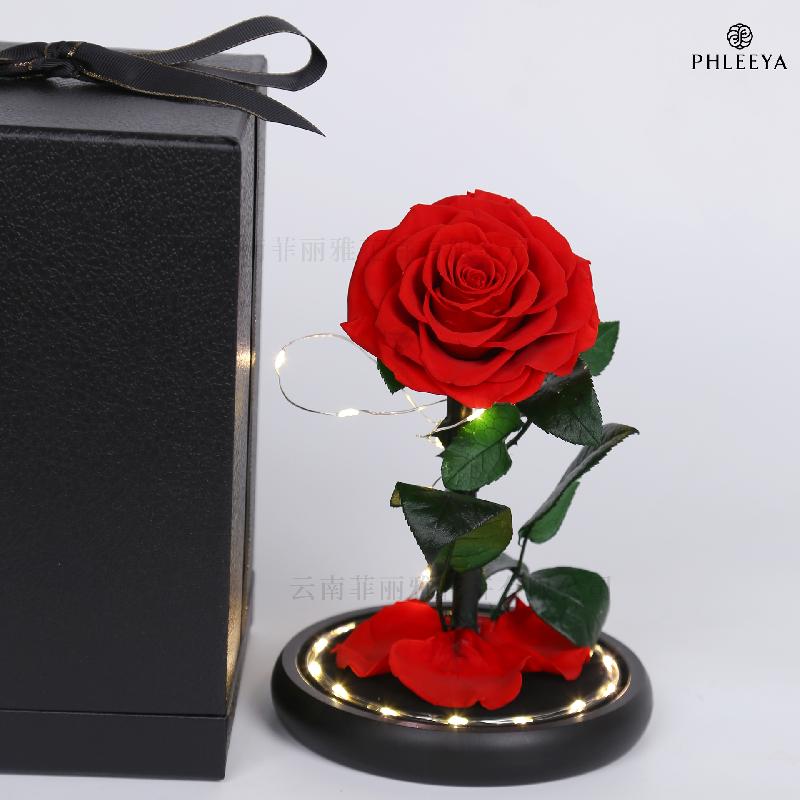 Hoa hồng vĩnh cửu hộp mica Hoàng tử bé quà Thất Tịch Valentine (HK-42)