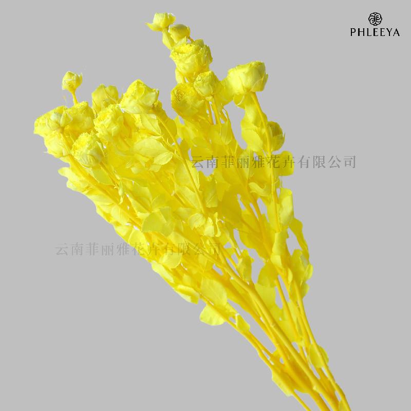 Hoa hồng chùm vĩnh cửu DIY hoa khô làm bó hoa cao cấp (HK-9)