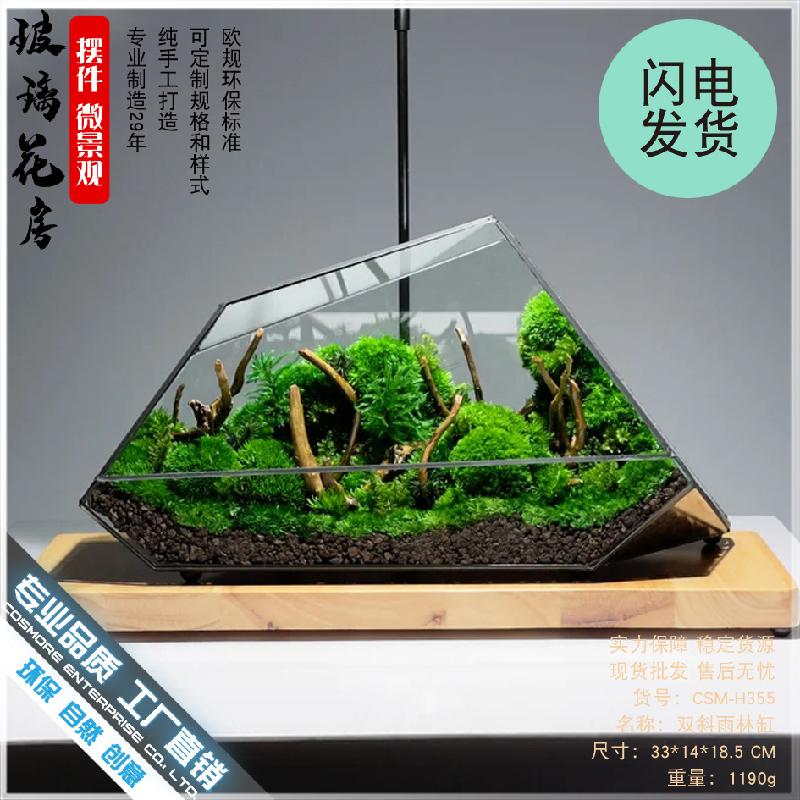 DG-3 Hộp gỗ, hồ nước rừng, thảm thực vật, cảnh quan nhỏ, hình học kính, thủy tinh, hộp che phủ, trang trí nhà cửa