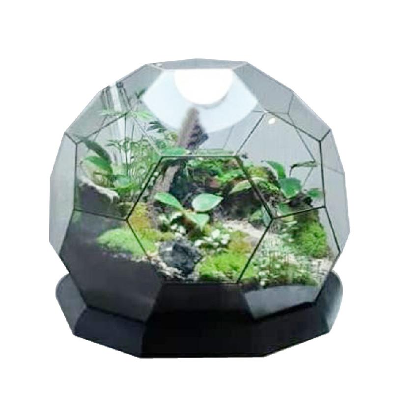 微景观雨林玻璃罩几何花房装饰摆件办公室造景生态瓶星球形花器皿