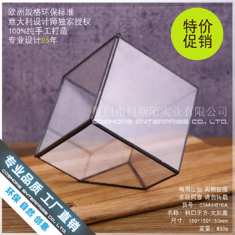Nhà kính vuông lớn nắp kính, rêu cảnh (DG-73)