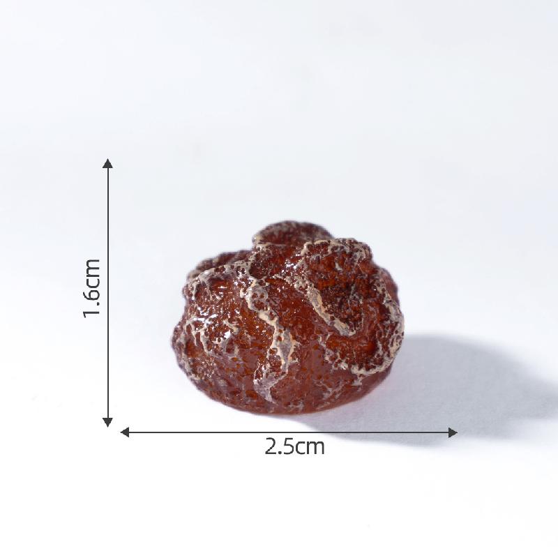 微景观创意话梅杏脯蜜饯仿真食玩 DIY盲袋装饰品挂配件迷你小摆件