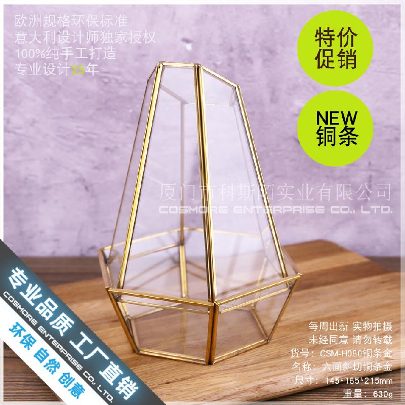 Nhà kính 6 mặt cắt, Terrarium rêu cảnh (DG-167)