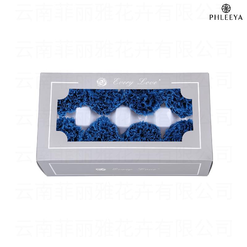Hoa cẩm chướng vĩnh cửu 8 bông DIY quà Ngày của Mẹ (HK-30)