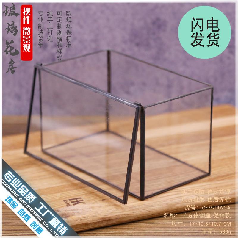 DG-9 Hộp nhỏ cảnh quan sinh thái bọt xanh tím