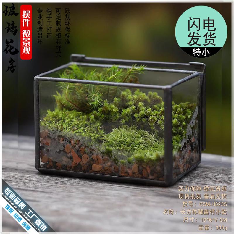 植觉苔藓植物微景观玻璃盒子微缩造景生态瓶桌面盆栽家居摆件花盆