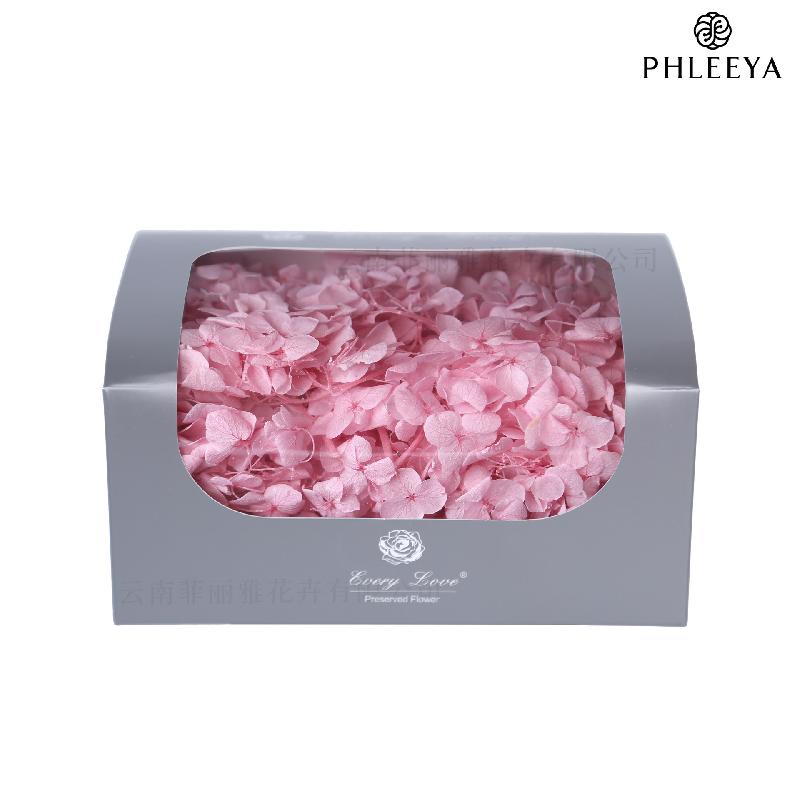 Cẩm tú cầu Anna vĩnh cửu 20g DIY hoa khô trang trí (HK-32)