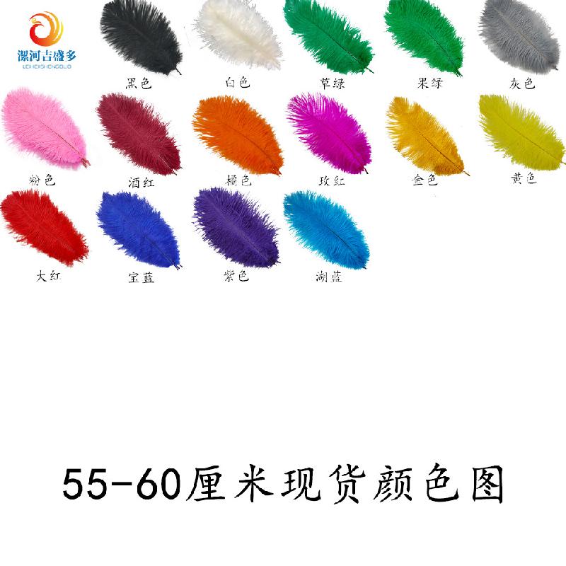 Lông đà điểu trắng từ 15-80cm, lý tưởng cho trang trí sân khấu và sự kiện. Cung cấp số lượng lớn cho đám cưới và DIY. Sẵn có hàng, mua bán buôn.