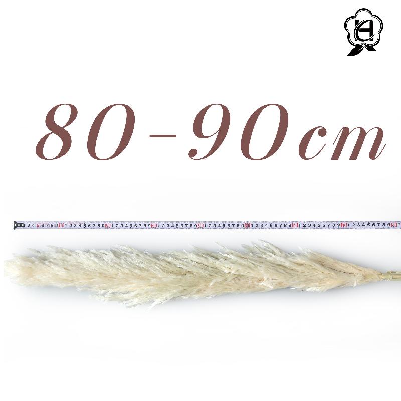 Cỏ lau Pampas khô bó hoa trang trí cưới phong cách châu Âu (HK-61)
